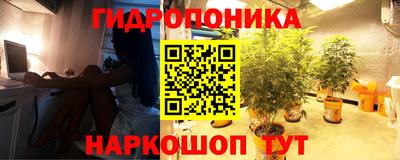 СК Кунгур
